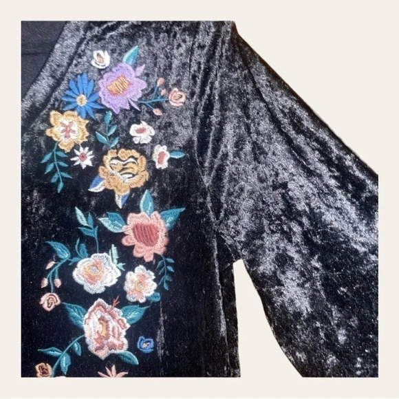💥NWT💥 ODDY VELVET EMBROIDERED LONG SLEEVE TOP NEVER WORE PERFECT CONDITION - Picture 7 of 13